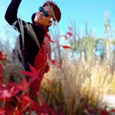 我好喜欢秋天！:那么美！红色绿色金黄色让人好舒服。美美的回记，让人忘记烦恼！心情愉悦！