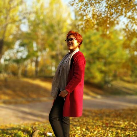 燕子的美篇每天都有好心情(✪▽✪)