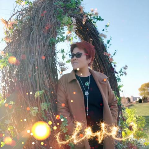 燕子的美篇秋天最后那点景色！十一月十九号