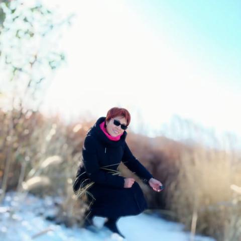 燕子的美篇，12月1号，