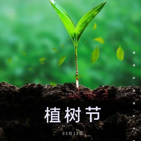 “种下爱的种子 收获绿意盎然”植树节活动