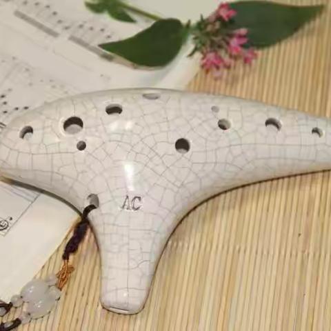 【陶声笛韵·乐享风雅】青山区音乐名师工作坊陶笛社团