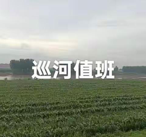 东杨庄镇巡河日志
