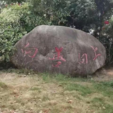 喜迎二十大 做雅小好少年——雅村小学第一周值周小结