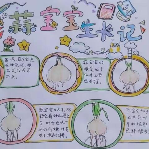 🔎用科学的态度与数学的眼光看世界