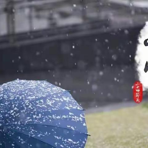 乐雅融合阅读系列活动——廿四节气民俗阅读之“小雪”