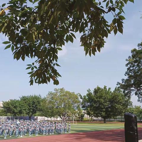 赤子少年铸军魂，风起扬帆正当时——记广州市从化区太平中学初一新生入学之国防教育