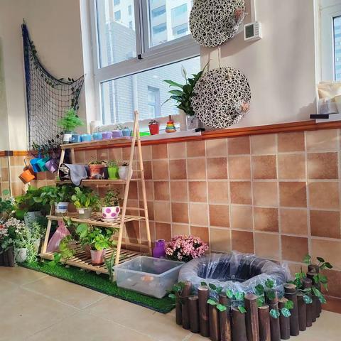 🌱国际C1班《春日物语》🐢🐠🌱