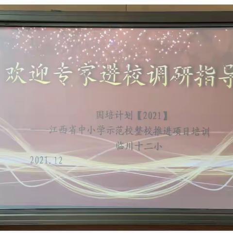 深入调研明方向 专家引领促成长——临川十二小“整校推进培训项目”工作调研活动