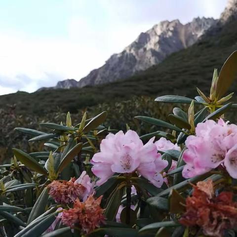 念山念水念他翁，千寻千错觅揉错。记23年7月他念惊艳之旅