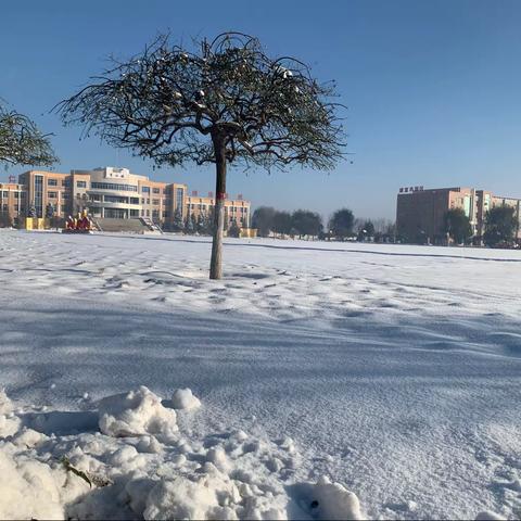 寄雪于情   寓乐于教