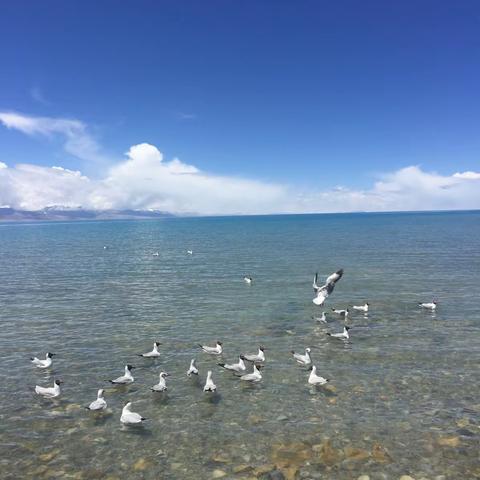 纳木错湖--西藏圣湖