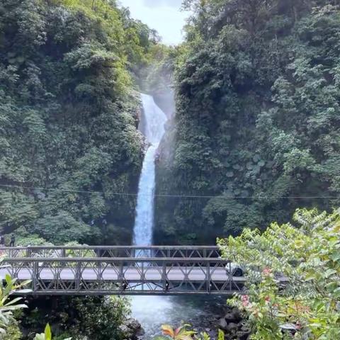 哥斯达黎加自由行（三）热带雨林冒险观瀑游