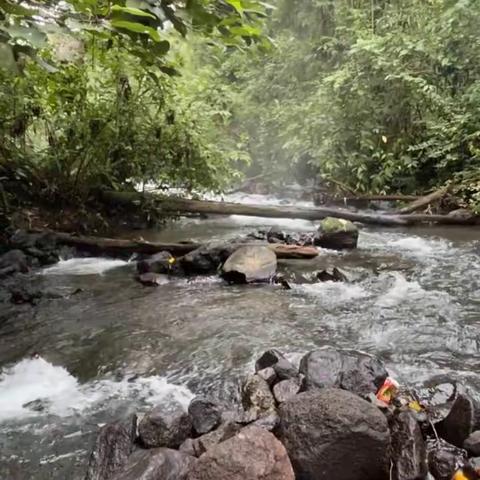 哥斯达黎加自由行（五）塔巴康(TABACON)温泉河里温泉浴