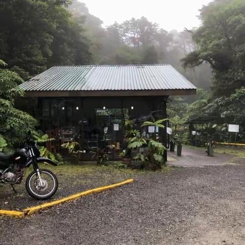 哥斯达黎加自由行（八）圣埃琳娜云雾森林生态保护区徒步行