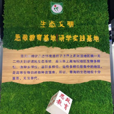 助力学考从“心”开始   绽放青春用“心”成长——西宁市园山回族学校九年级学生迎考心理健康解压活动