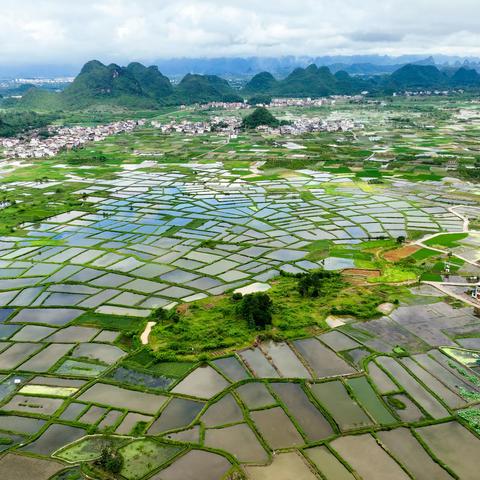 山水田园-会仙玻璃田