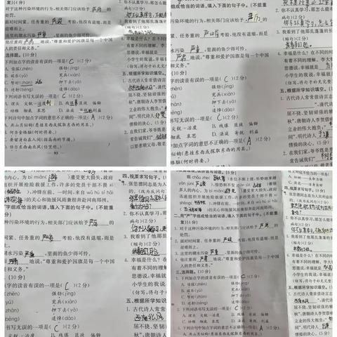 作业评比展风采，共同进步劲头足