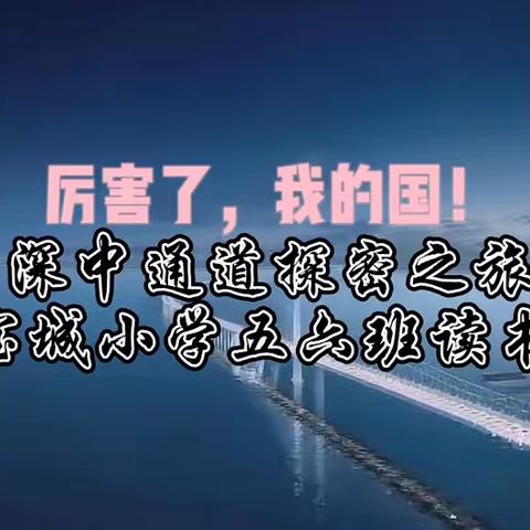 深中通道探密之旅—宝城小学五六班爱心树中队读书会