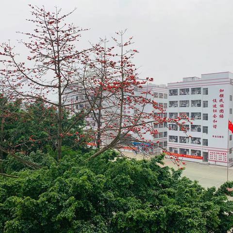 同课异构展风采，集思广益促教研——贵港市民族中学“新高考背景下课堂教学研究”教学研讨活动