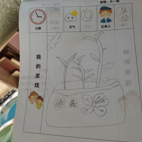 青秀区银蕾幼儿园2