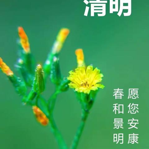 四月，清明节的思念