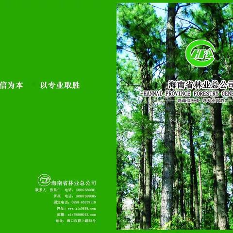 海南省林业总公司2016年冬交会宣传册