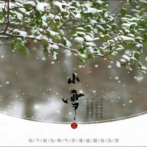 海洋幼儿园中二班二十四节气主题教育活动--小雪