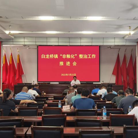 白龙桥镇“非粮化”整治工作推进会