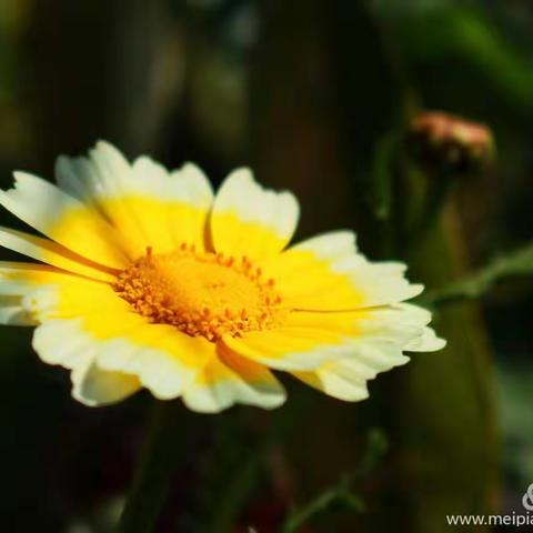 交流促提升  展示促蜕变