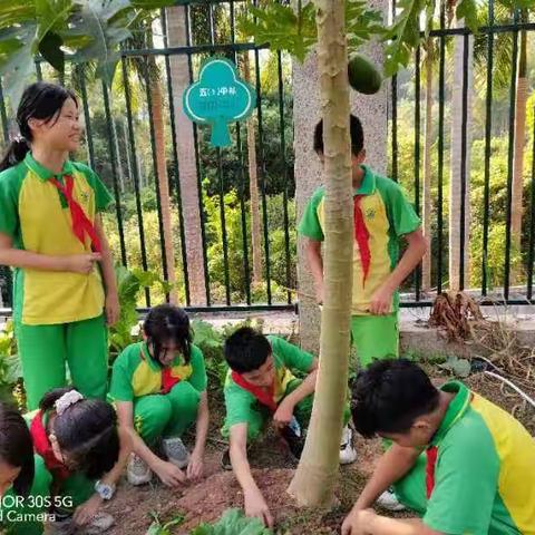 福洞小学劳动与垃圾分类主题分享活动