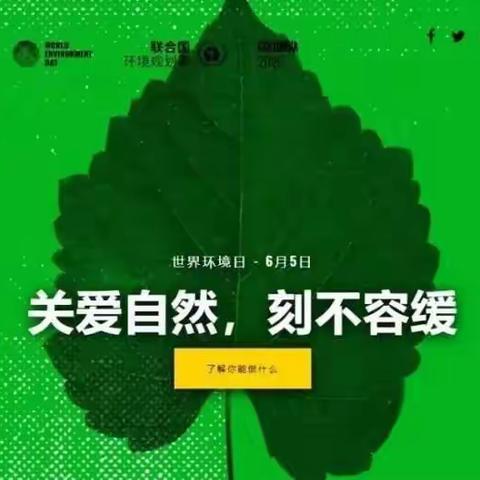 保护环境，从我做起——江流幼儿园世界环境日活动