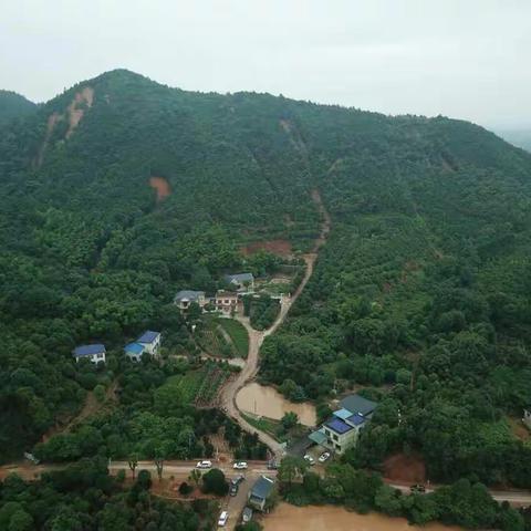 暴雨来袭，我们在行动—长沙市自然资源和规划局雨花区分局防治地质灾害纪实