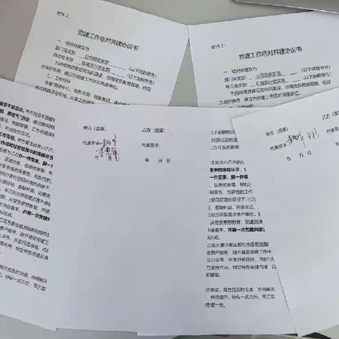 公司部党支部与临港支行党支部 石油支行党支部开展支部三级联建活动