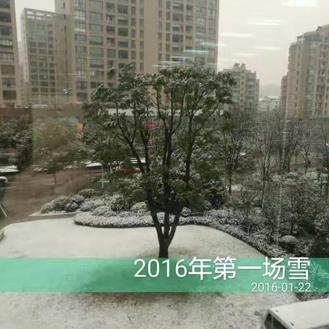 2016年的第一场雪