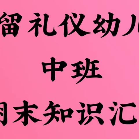 【小小期末汇报🗣，展示幼儿风采📚】💒东留礼仪幼儿园💒🌱中班🌱期末知识汇报展