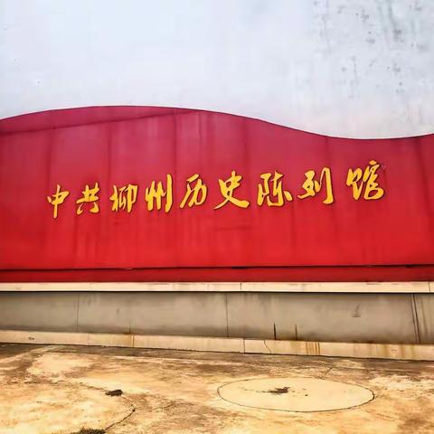 回望百年沧桑，汇聚磅礴力量——白沙中心小学党支部主题党日活动