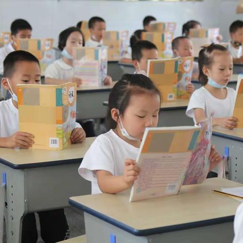 播撒习惯种子，静待芙蓉花开