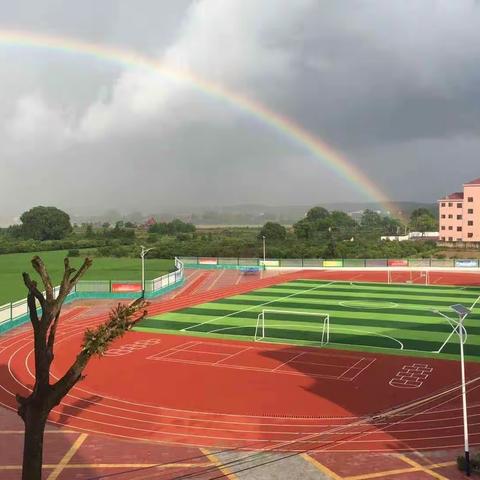 科学防疫情，停课不停学——韶口小学致家长的一封信