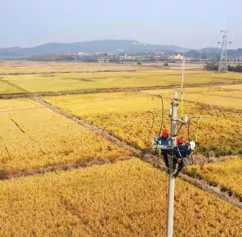 银线横空舞，最美四月天----丰城市上塘镇"三供一业"电网改造纪实