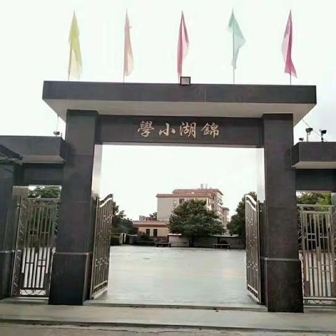 陆丰市内湖镇锦湖小学“宅家上网课，运动不停步”