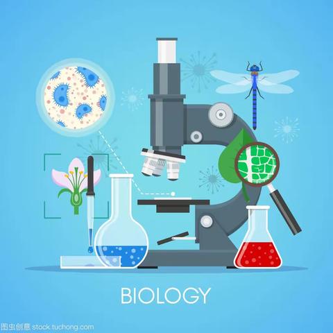 2022年新中考生物上机仿真模拟实验操作演示视频