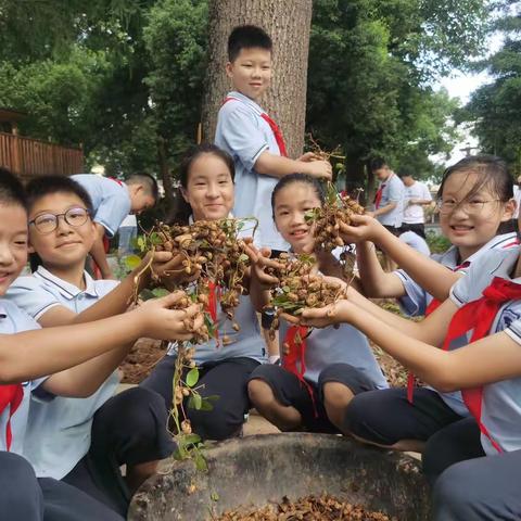 劳动里体验快乐，学农中促进成长