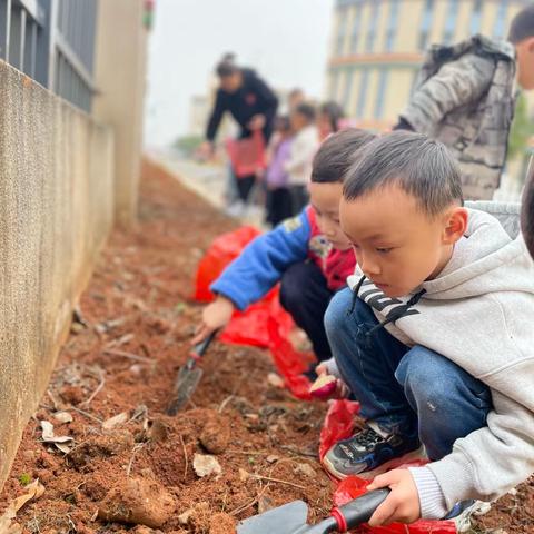 余江区第一幼儿园中一班种植活动---我们的种植行动