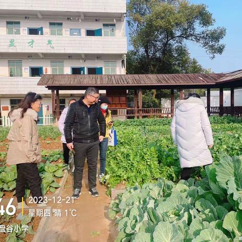 凝心聚力，砥砺前行——记君山小学王林华名师工作室团队赴吉水县盘谷小学开展劳综课程调研活动