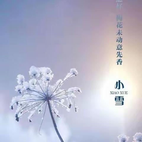 小雪-冬日的序曲与诗意的绽放    中三班