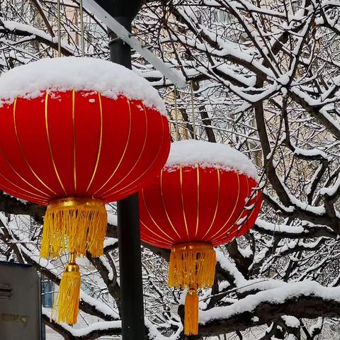 20200202鼠年第一埸雪，多少让隔离的人们心情好了一些，唯一不足就是只能在小区里转转。