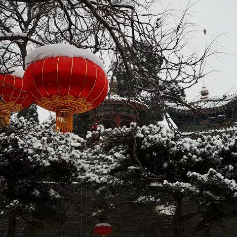 今天出去办事在北海换车，用手机拍了几张雪中景色，这是十年来北京下的时间最长的一场雪。