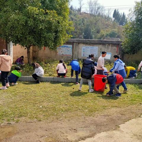 保护环境，人人有责——桥头完小植树节活动