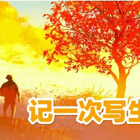 用心感受同学们成长的快乐——记一次写生课